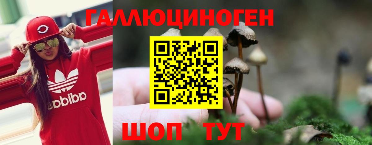 Галлюциногенные грибы GOLDEN TEACHER  Вход с VPN  Ставрополь 