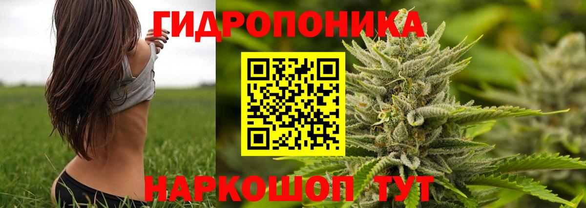Ставрополь  МАРИХУАНА SATIVA & INDICA  Бошки Шишки SATIVA & INDICA  МАРИХУАНА AK-47  Вход с VPN 